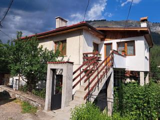 Guest house Denitsa - Trigrad - 9