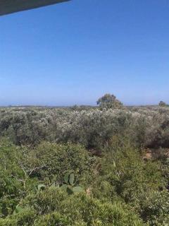 Appartement deux chambres-calme proche plage - Ḩammām al Ghazzāz - 9