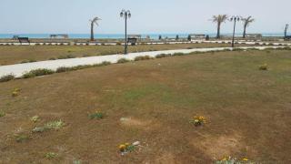 G5 lazordy bay - El Alamein - 7