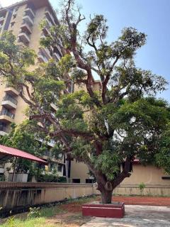 Heritage Home in Padubidri - 1