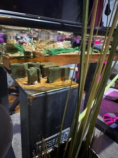 Accommodation 4YOU - 5