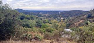 Bosque de estrellas Eco-lodge - 4