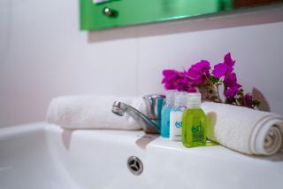 Ceylon Amigos Eco Resort - 1