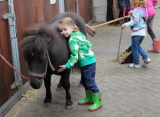 Horsetellerie Rheezerveen - Hardenberg - 7