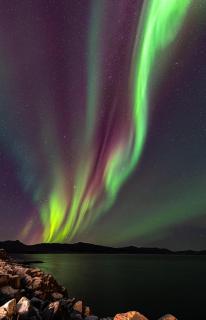 1. etg i Dampskipsbrygga, Lødingen havn - 9