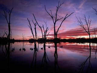 Boshack Farm Stay Perth - Bolgart - 8