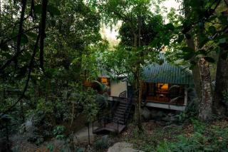 The Hive, Wayanad - Wayanad - 4