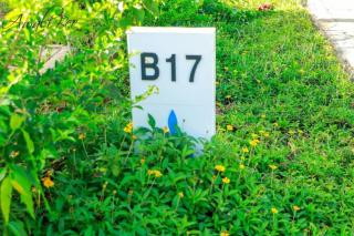 Vipingo budget stay - Vipingo - 2