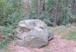 Fewo Am Waldrand - Heideblick - 8
