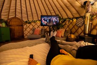 Yurtshire Eavestone Lake - Beech - 1