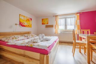 Hotel Kačenka - Králíky - 9
