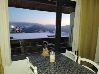 Appartement duplex avec vue sur le Sancy et garage couvert - 4