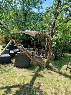 Manisba - - 5