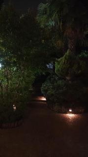 ROSE'S GARDEN - zona tranquilla - vicino Torino - 7