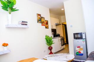 Studio Apartment near Airport Train Station - Nairobi - 5