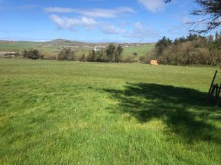 Elm - Bell tent Anglesey North Wales - Llanfaethlu - 1