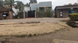 Garden Gorilla home - - 1