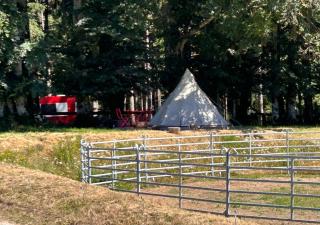 Wildust ranch - 2