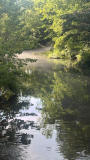 Shirleys River Retreat - 0