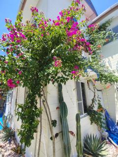 Guest House Churaumi - Shimoda - 1