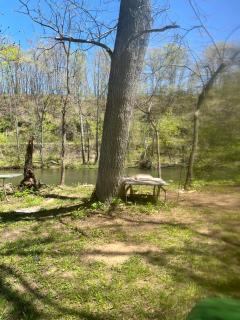 Shirleys River Retreat - 8