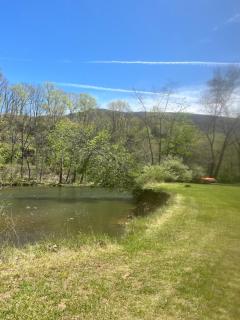 Shirleys River Retreat - 5