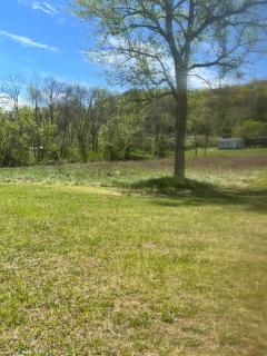 Shirleys River Retreat - 4