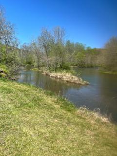 Shirleys River Retreat - 3