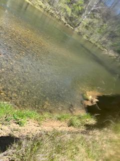 Shirleys River Retreat - 2