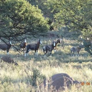 Blanco Guest Farm - Country House - 3