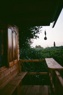 Irene's Treehouse - Kavásilas - 5
