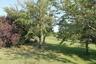 Suite Jomenisa - Auriébat - 2