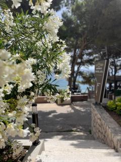 Villa Ana - Murter - 7