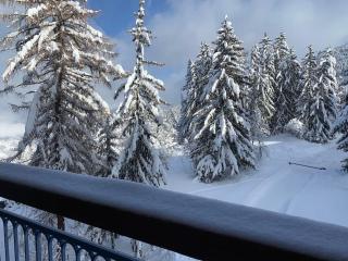 Petit Appart Cosy 4 pers en plein coeur d'Arc 1800 - Bourg-Saint-Maurice - 3
