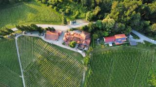 Herga Wine Estate - Nest above wine cellar - rooms - Ivanjkovci - 9