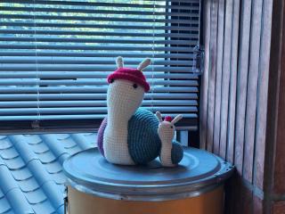 Red Hat Snail - Seogwipo - 2