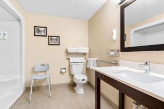 Comfort Suites near Robins Air Force Base - 4