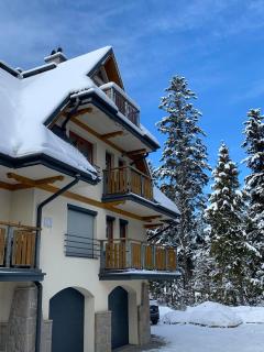 Zakopane Apartament z kominkiem - Zakopane - 0