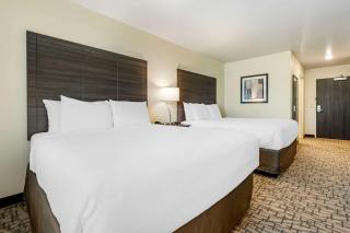 Comfort Inn & Suites - Medina - 3