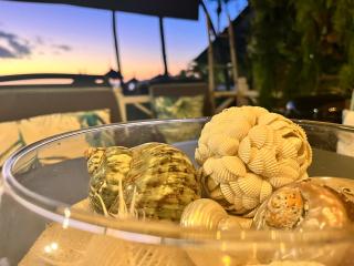 Lovely beach front house 3 bedrooms in Trou aux Biches Mauritius - 1