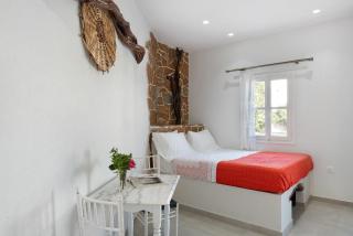 Politimis Studio N1 - Amorgo - 9