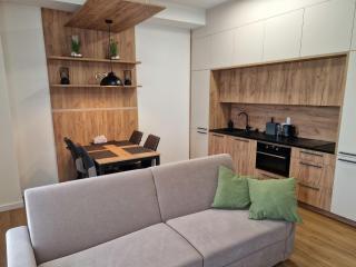 Apartment Javorná by Interhome - Javorná - 3