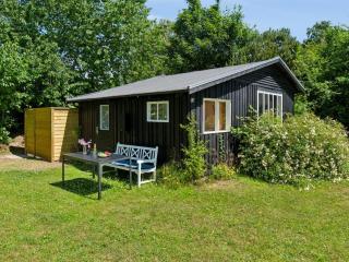 Holiday Home Krister - 900m from the sea by Interhome - Hasle - 0