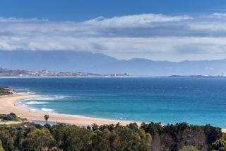 Paloma - Tarifa - 9