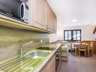 Apartment Hajnej by Interhome - Pec pod Sněžkou - 9