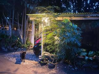 Shady Grove Healing Centre & Homestay w house rules please read before booking - Sanur - 9