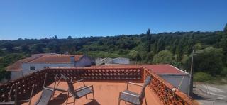 Oliver's place Guesthouse - Casal Pereiro - 6