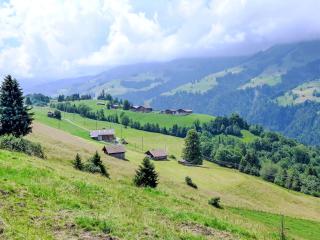 Apartment Bühl by Interhome - 9