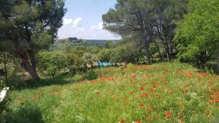 Appartement dans mas avec piscine privée sans vis a vis - 6