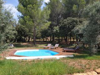 Appartement dans mas avec piscine privée sans vis a vis - 9